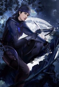 [综英美]路过的骑士
